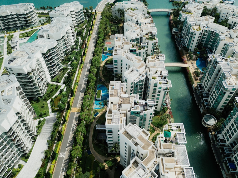 bird's eye view of city buildings near river