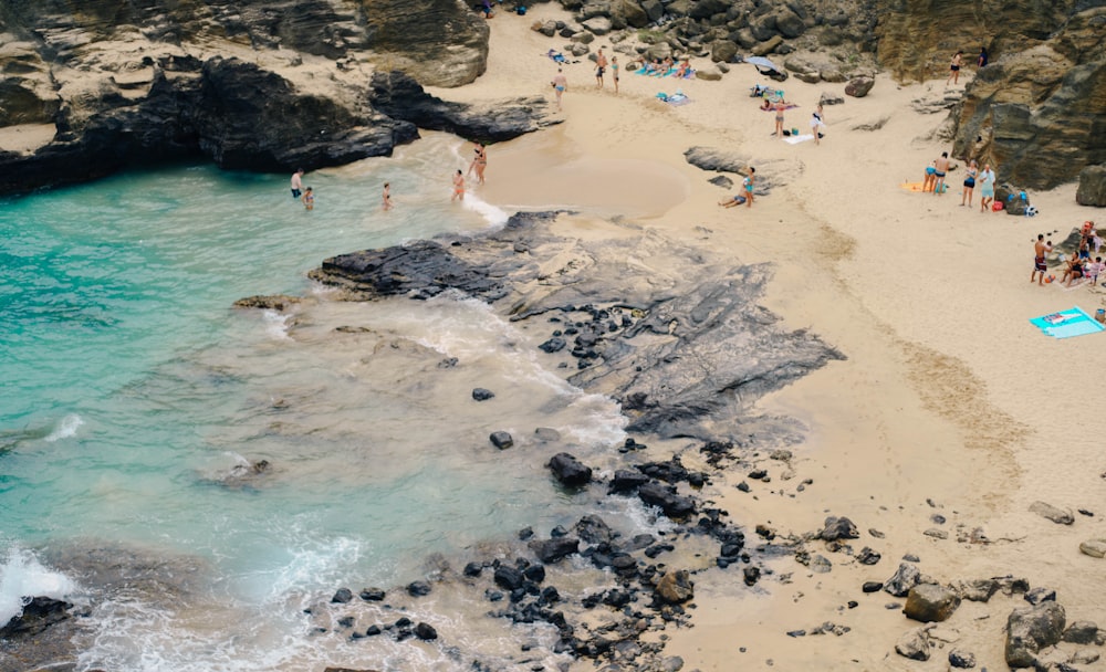 bird's-view photo of people at shore