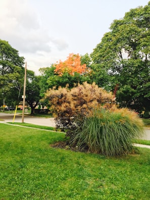 A lawncare technician using a leaf blower on a crisp autumn afternoon.