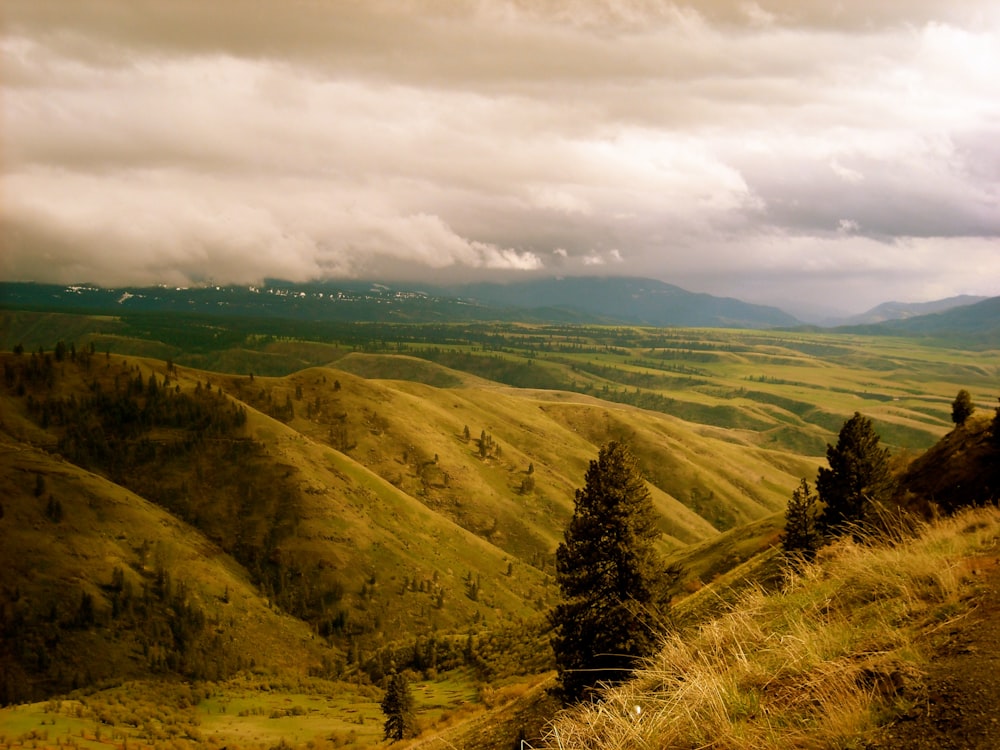 Montanhas cheias de grama verde sob nuvens brancas