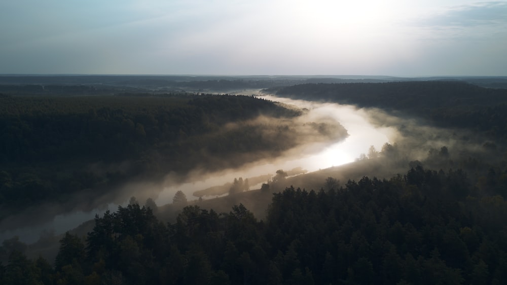 aerial photography of body of water surrounded by green trees