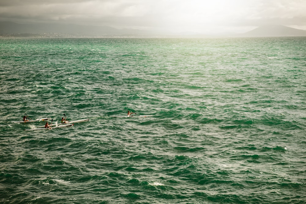 due persone sulla barca sullo specchio d'acqua