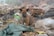 A small brown and black puppy sits amidst a pile of trash and debris, which includes plastic bags, a tattered green cloth, and other discarded items. The background appears to be a cluttered and possibly polluted environment.