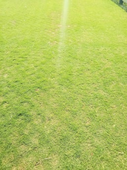 A well-maintained and lush green grass field with evenly trimmed grass, suggesting a sports ground or a lawn. The surface is lit by bright sunlight, creating a vibrant and fresh appearance.