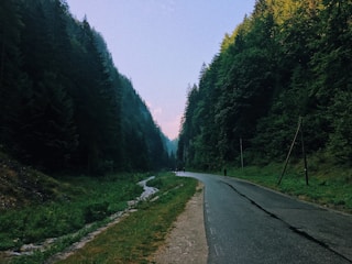 A winding road cuts through a lush, green forest flanked by tall, dense trees on either side. A small stream meanders alongside the road. In the distance, a few people are seen walking along the path, emphasizing the tranquility and serenity of the natural surroundings.