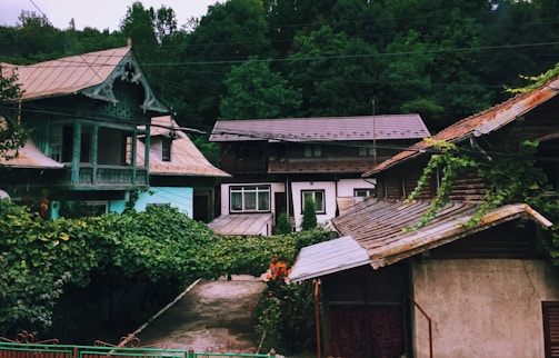 A collection of quaint houses with wooden and tin roofs is set against a lush, green forest backdrop. The structures are surrounded by abundant greenery, including vines and various plants that give an overgrown feel. The architecture of the houses showcases intricate wooden carvings and traditional designs. A narrow concrete walkway divides the buildings in the foreground.