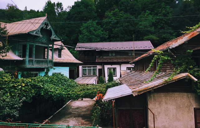 A collection of quaint houses with wooden and tin roofs is set against a lush, green forest backdrop. The structures are surrounded by abundant greenery, including vines and various plants that give an overgrown feel. The architecture of the houses showcases intricate wooden carvings and traditional designs. A narrow concrete walkway divides the buildings in the foreground.
