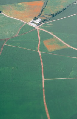 An aerial view of expansive green fields intersected by dirt roads leading to a white building surrounded by trees. The fields are divided into sections, some with visible patches of orange, possibly indicating seasonal changes or different crops.