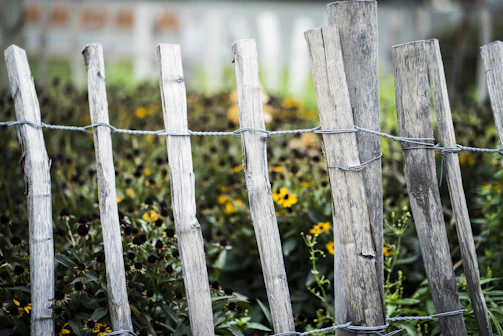 A beautifully crafted wooden garden fence surrounded by blooming flowers.