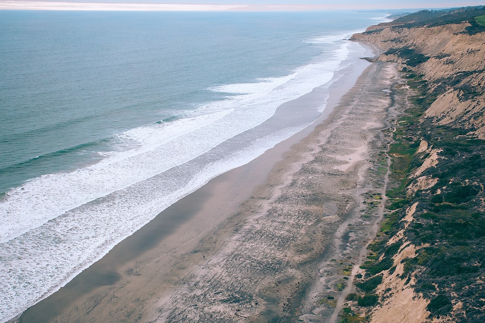 foto aerea del mare e della foresta verde