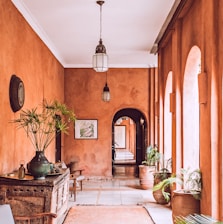 planters with plant near area rug inside room