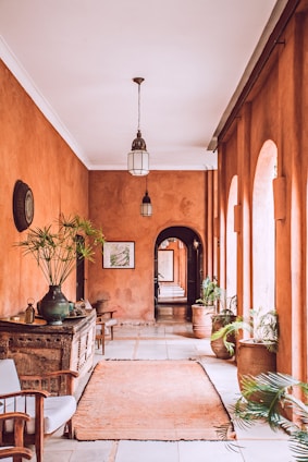 planters with plant near area rug inside room