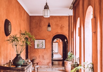 planters with plant near area rug inside room