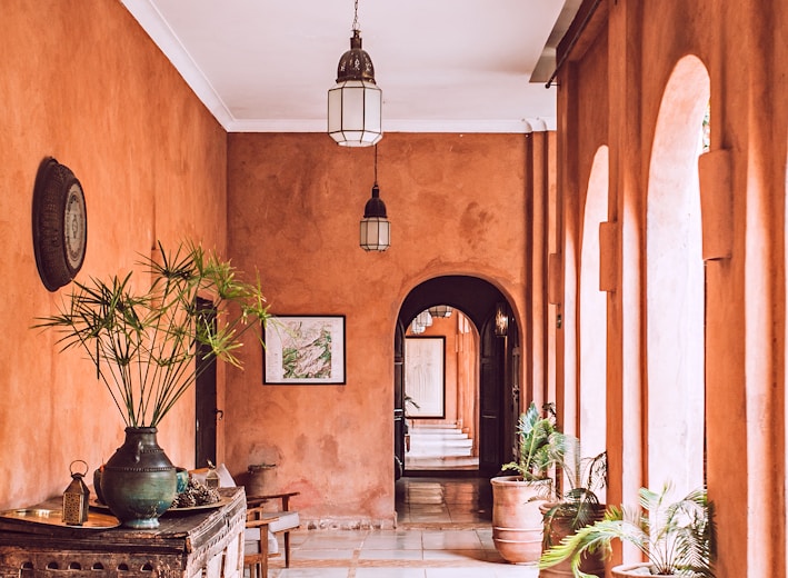 planters with plant near area rug inside room