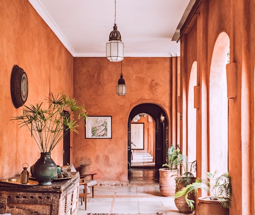 planters with plant near area rug inside room