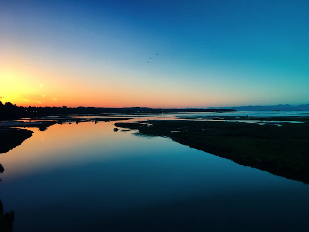 A serene Amazon river landscape at sunset with vibrant colors reflecting on the water.