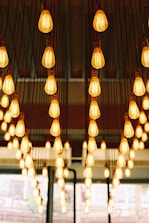 selective focus photography of light bulbs inside room