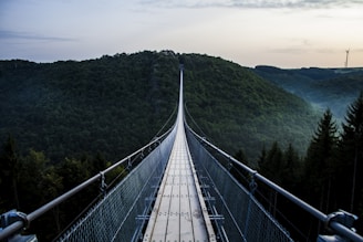 gray and black wooden bridge across mountains covered by trees