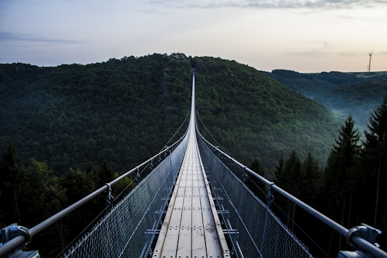 gray and black wooden bridge across mountains covered by trees