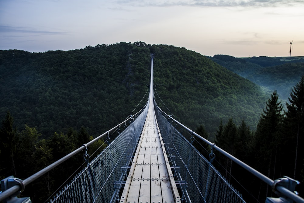 ponte di legno grigio e nero attraverso le montagne coperte da alberi
