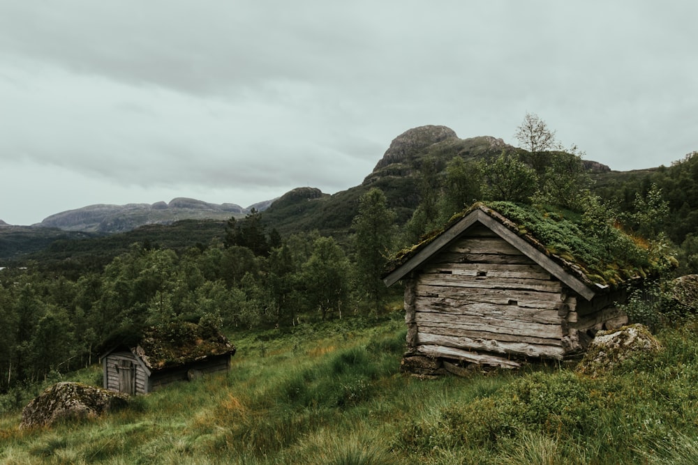 two gray wooden hut beside green leaf tress across mountain