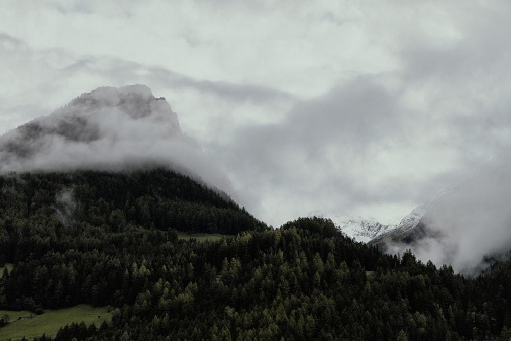 mountain surrounded by white clouds