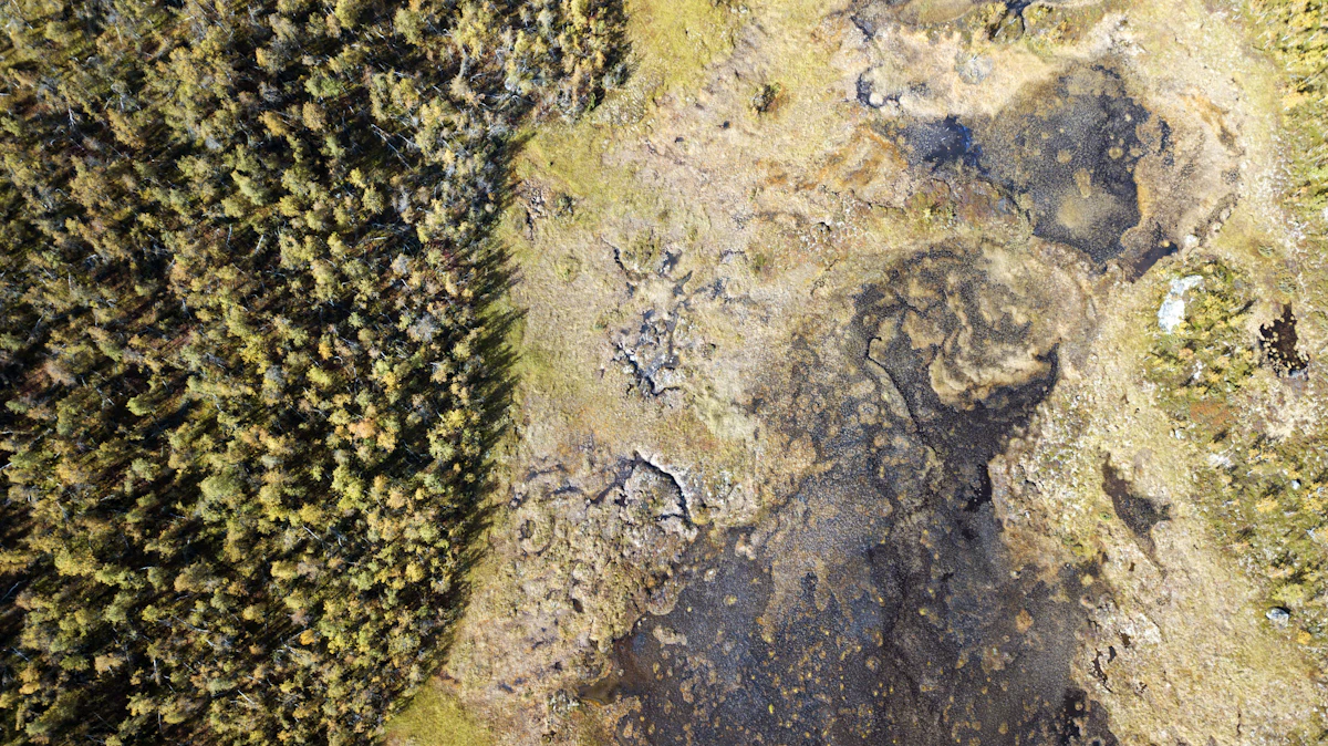 Myrlandskap på fjellet sett ovenfra, med små tjern og lyng