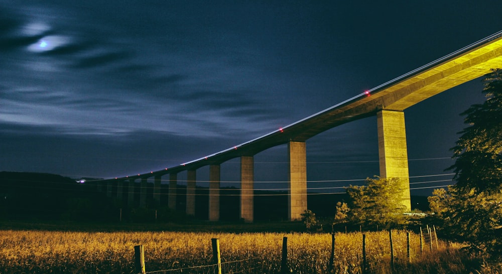 photography of bridge