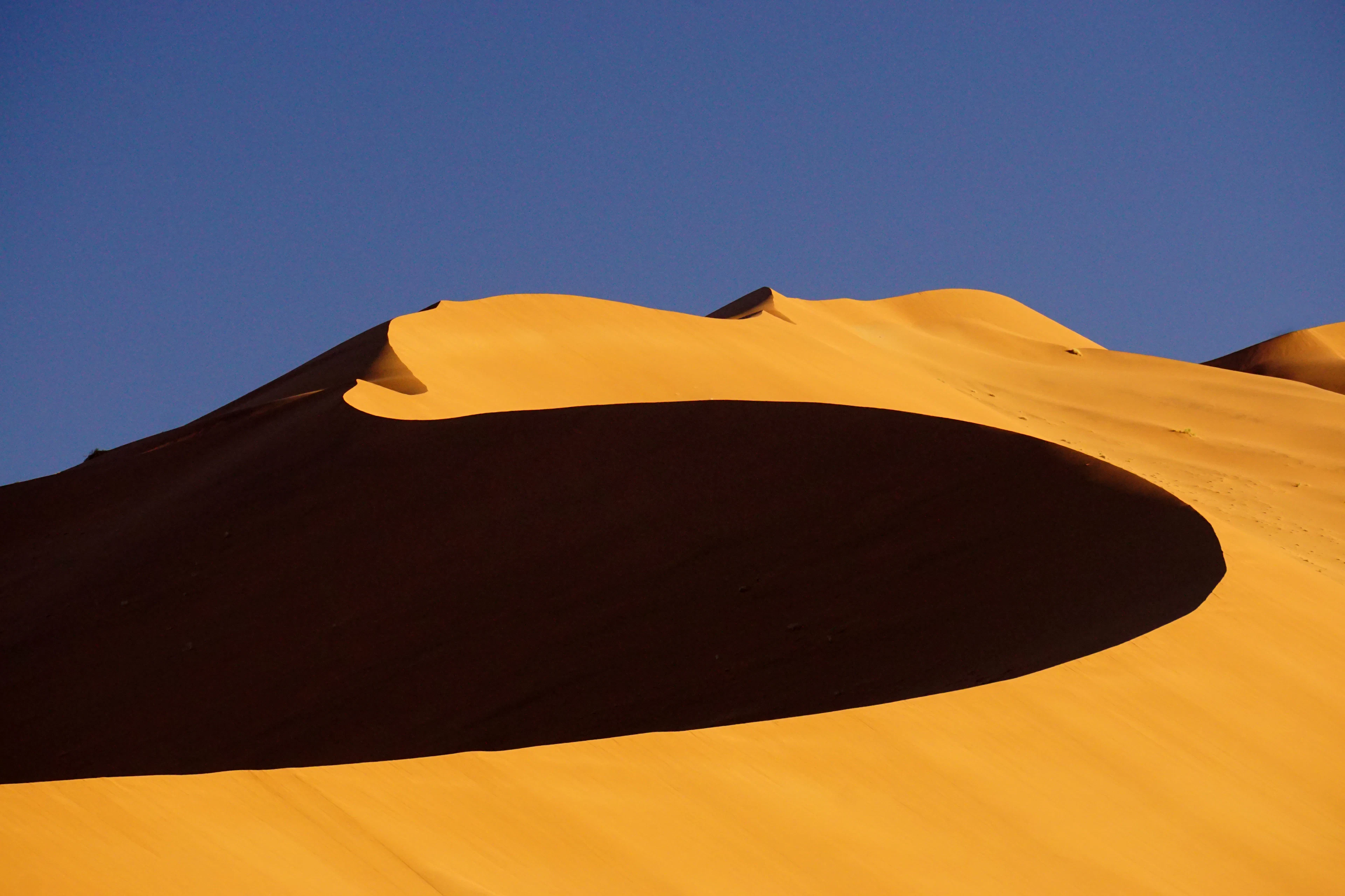 Early-morning shadow across the curving crest of an orange dune in the Namib Sand Sea, on the road to Deadvlei