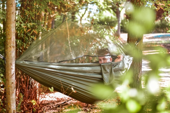 A person relaxes in a green hammock suspended between trees in a lush, sunlit forest. The hammock is partially enclosed by a mesh canopy. Sunlight filters through the leaves, creating a dappled effect on the ground.