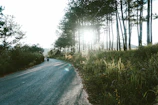 Motorcycle winding through lush jungle trail with sunlight filtering through trees.