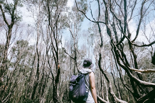 man carrying black backpack surrounded by trees at daytime in Vũng Tàu Vietnam