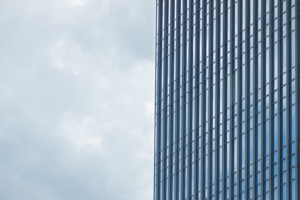 blue building windows