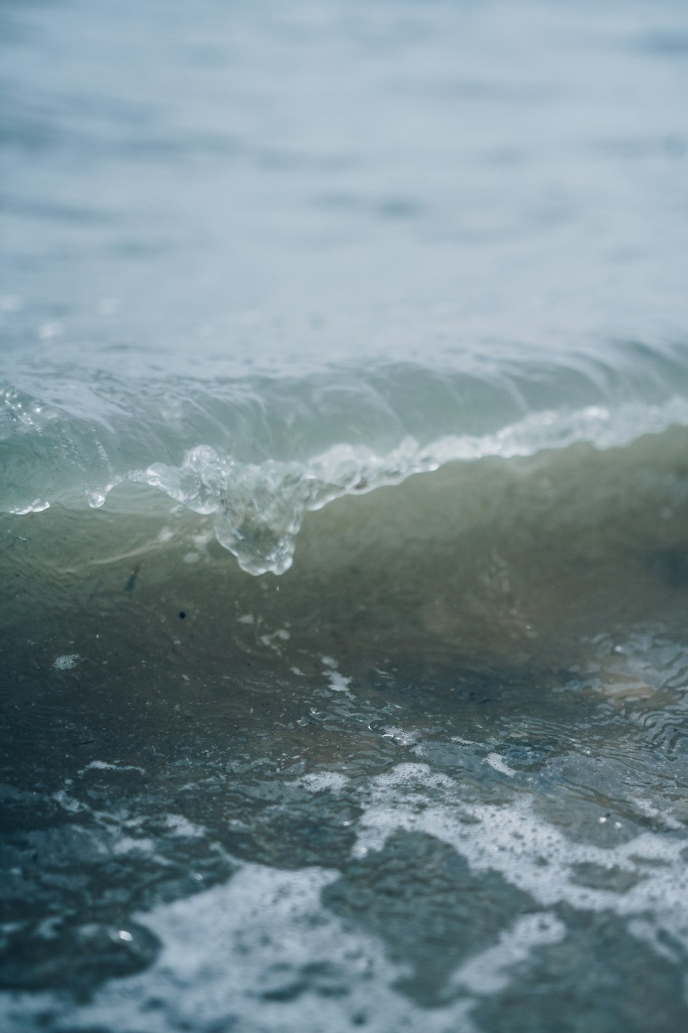 still life photography of seashore wave