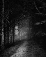 Not actual game depiction