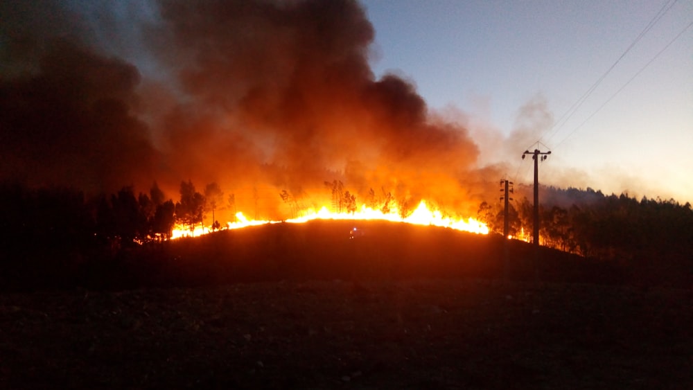 landscape photo of burning forest