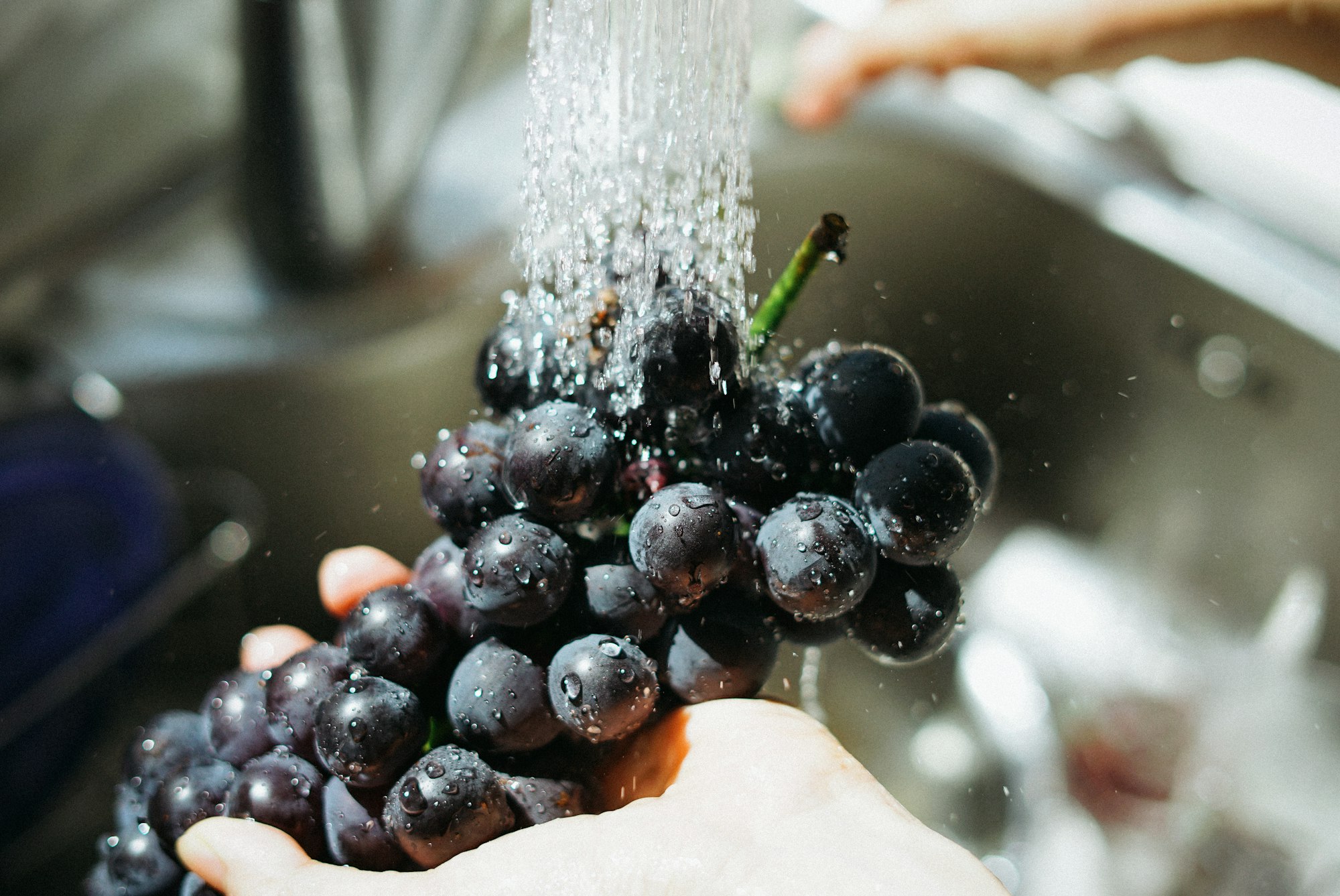 Someone washing a bunch of purple grapes