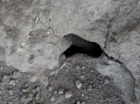 A sample of mixed concrete being tested.