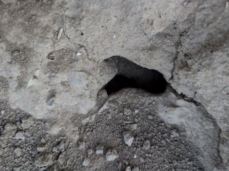 A close-up of a technician injecting material beneath a sunken driveway slab in a Citrus County home.