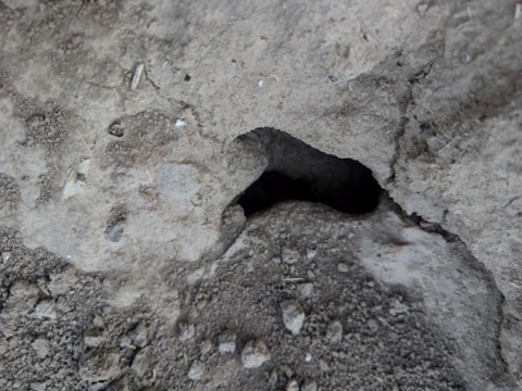 A close-up view of a rough, textured concrete surface with a significant hollow or cavity in the center surrounded by various small gravel particles and irregularities.