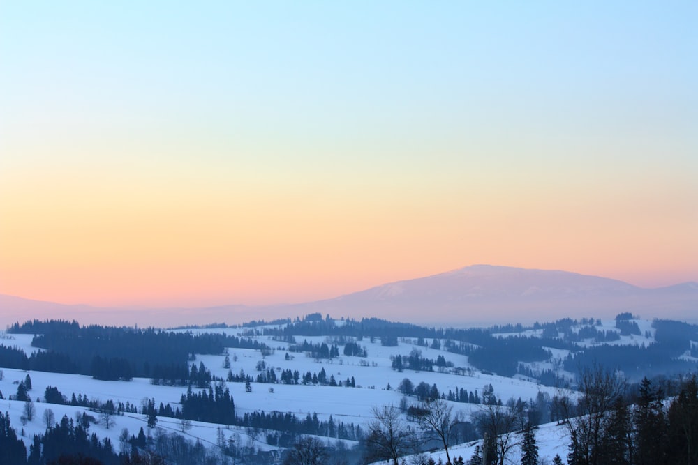 Foto de vista panorâmica do campo de paisagem coberto por neve com árvores