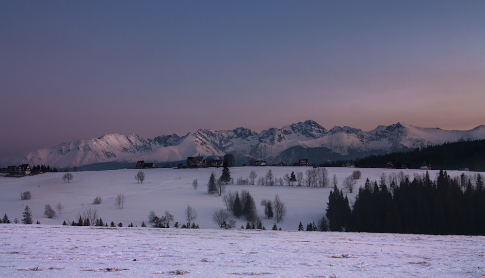 in distant snowconed mountain