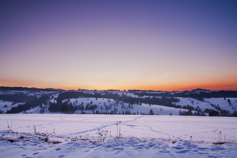 snow field during sunset