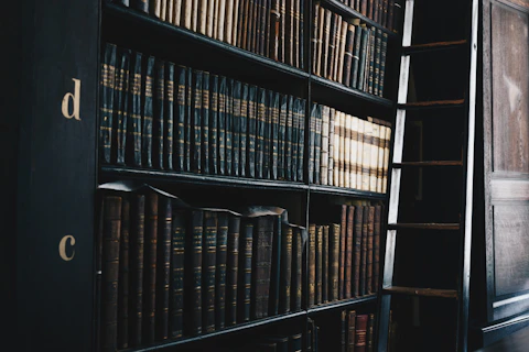 black wooden d and c bookshelf