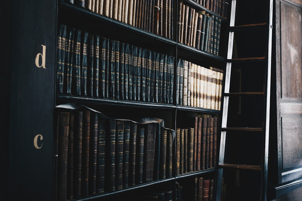 Bibliothèque D et C en bois noir