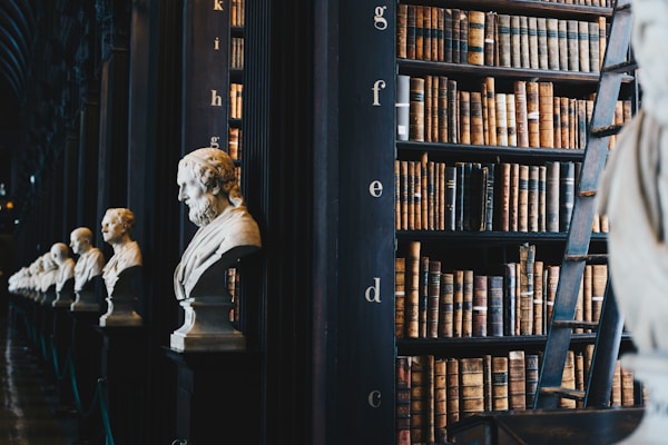 book lot on black wooden shelfby Giammarco Boscaro