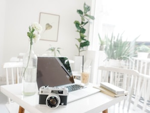 Minimalist workspace with a camera, notebook, and soft green plants in natural light