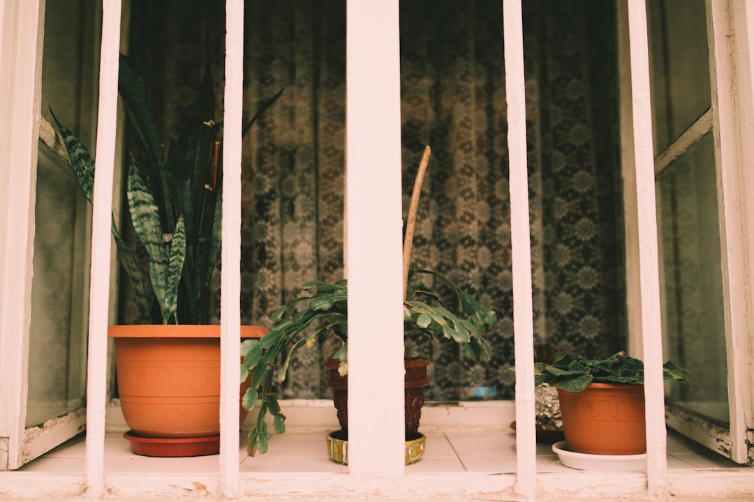 three brown pots with green plants at lit room behind balusters