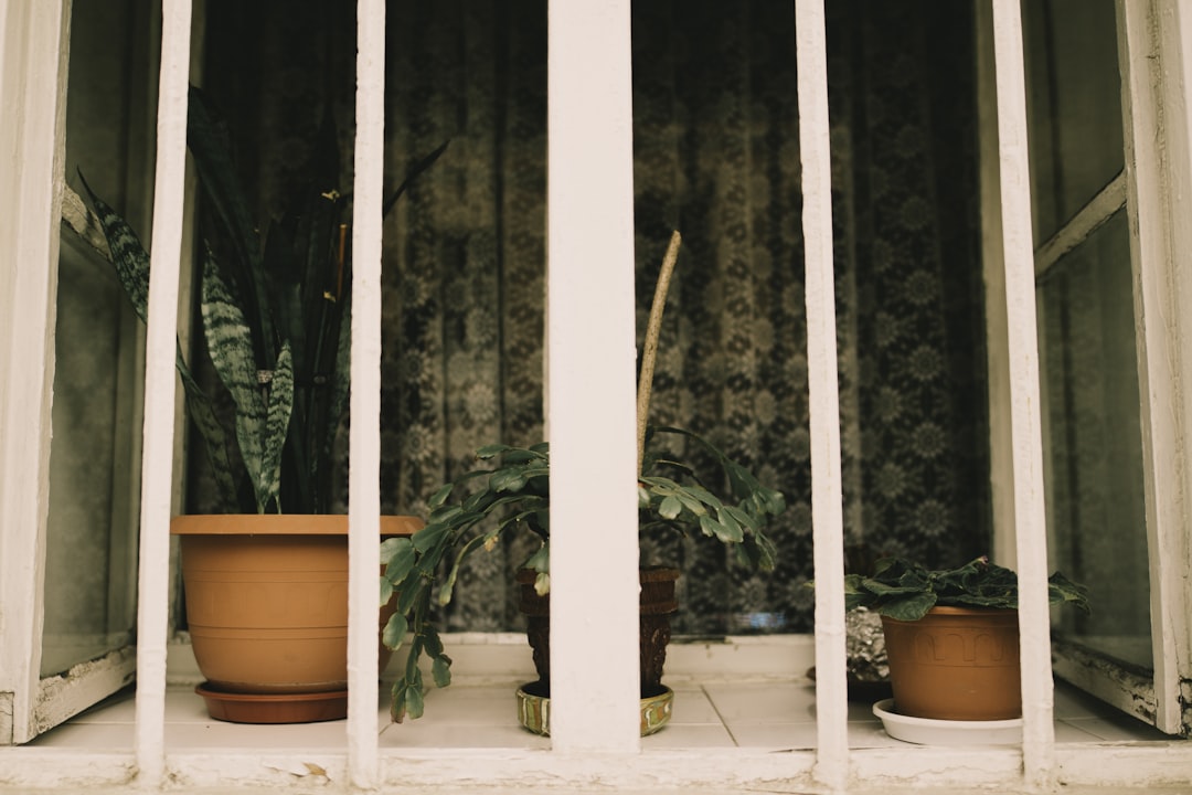 three brown pots with green plants at lit room behind balusters,