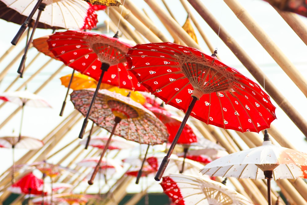 closeup photo of oil paper umbrellas
